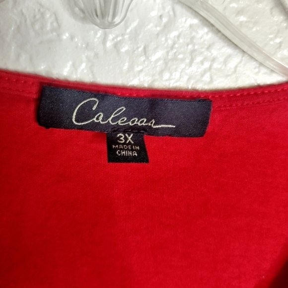 Calessa Embroidered V-Neck Short Sleeve Top sz 3X - Picture 6 of 8